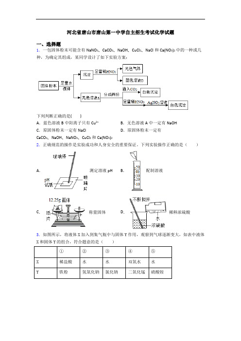 河北省唐山市唐山第一中学自主招生考试化学试题