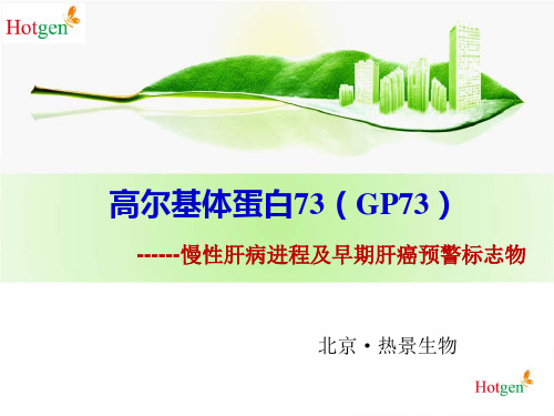 新型肝癌标志物高尔基体蛋白73(GP73)