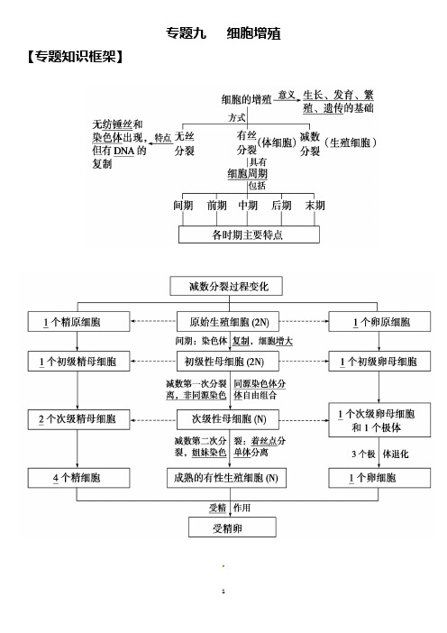 2022届高三一轮复习生物专题九   细胞增殖知识总结