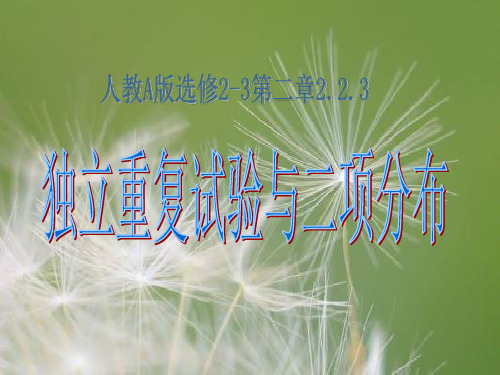 二项式分布PPT教学课件