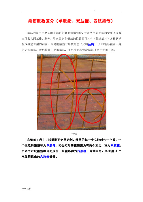 箍筋肢数区分(单肢箍、双肢箍、四肢箍等)