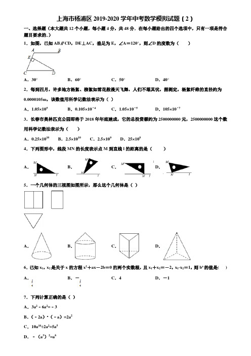 上海市杨浦区2019-2020学年中考数学模拟试题(2)含解析