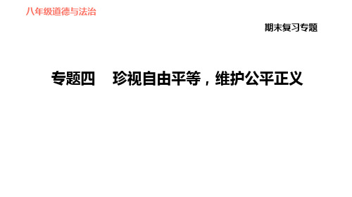 人教版道德与法治八年级下册复习课件 专题四 珍视自由平等,维护公平正义ppt