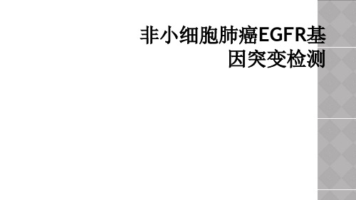 非小细胞肺癌EGFR基因突变检测