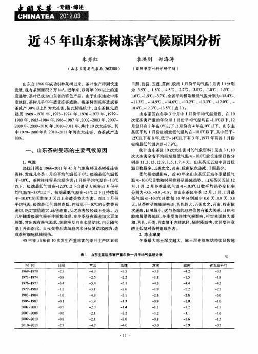 近45年山东茶树冻害气候原因分析