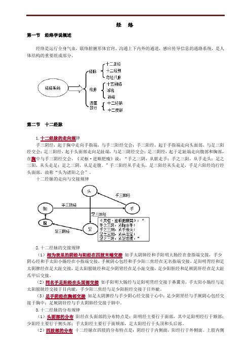 中医经络讲义