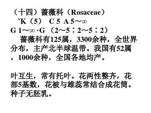 10-被子植物-3 蔷薇科