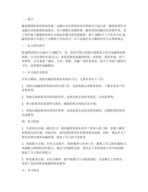 融资担保公司实习报告