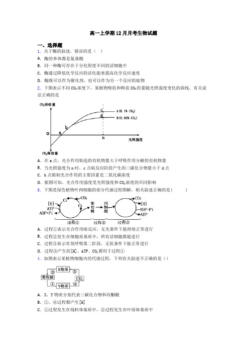 高一上学期12月月考生物试题