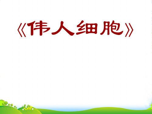 新苏教版七年级语文上第二单元第八课《伟人细胞》教学课件共34张PPT (共34张PPT)