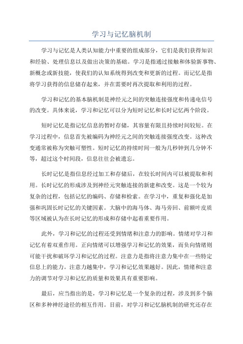 学习与记忆脑机制