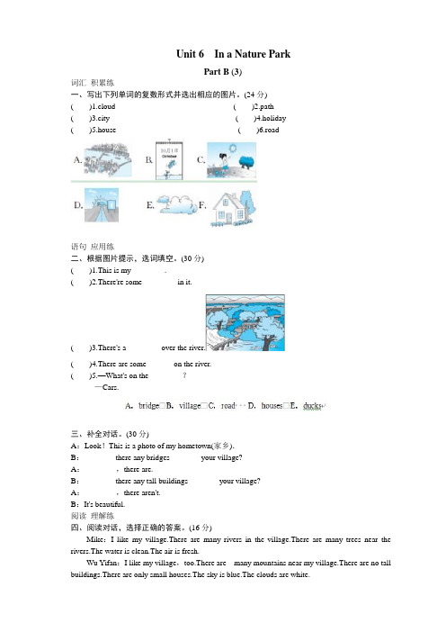 课时测评-英语人教PEP5年上 unit6 In a nature park-PartB试题及答案 (3)