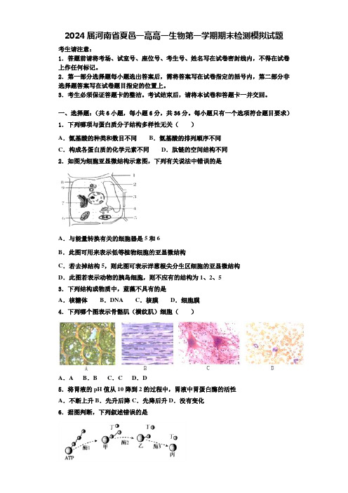 2024届河南省夏邑一高高一生物第一学期期末检测模拟试题含解析