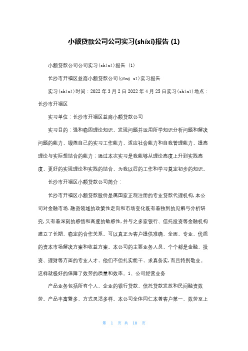 小额贷款公司公司实习报告 (1)