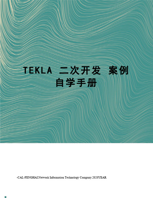 TEKLA 二次开发 案例 自学手册