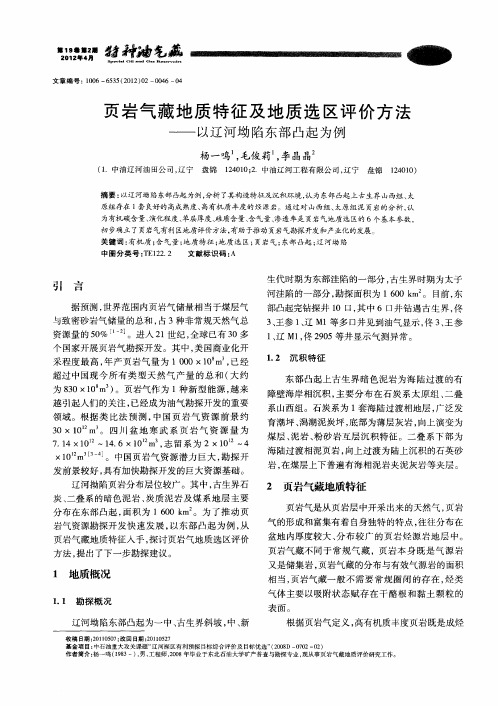 页岩气藏地质特征及地质选区评价方法——以辽河坳陷东部凸起为例