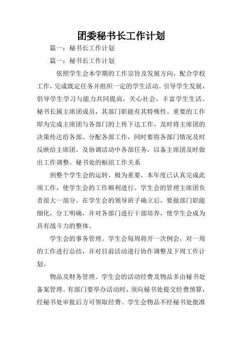 团委秘书长工作计划