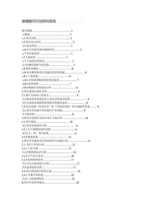 养殖鹅可行性实施计划书