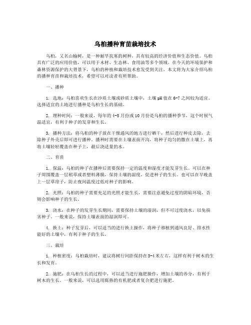 乌桕播种育苗栽培技术