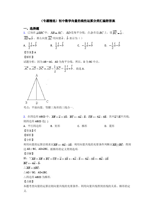 (专题精选)初中数学向量的线性运算分类汇编附答案