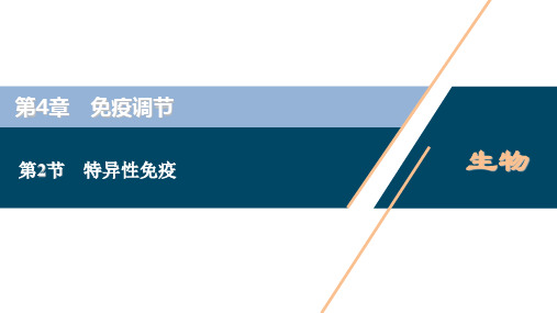 高中生物新人教版选择性必修1特异性免疫课件(37张)