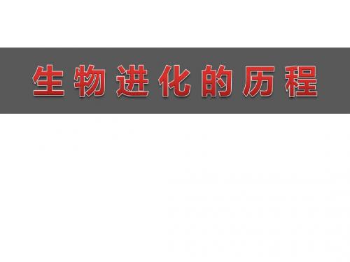 wjx 7.3.2《生物进化的历程》