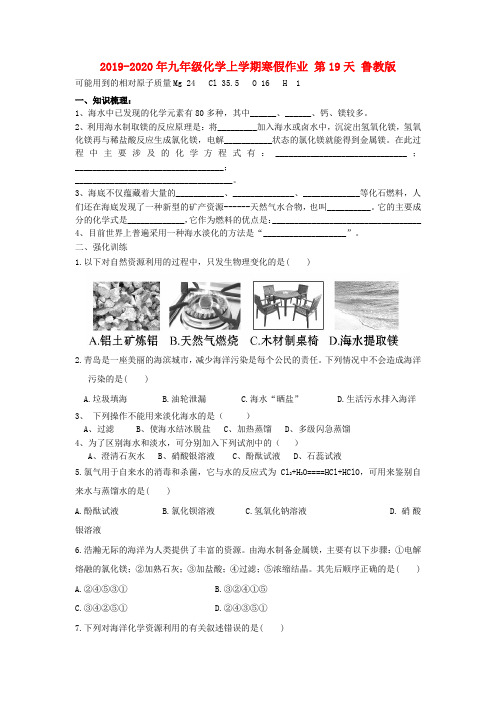 2019-2020年九年级化学上学期寒假作业 第19天 鲁教版