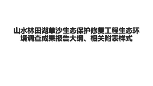 山水林田湖草沙生态保护修复工程生态环境调查成果报告大纲、相关附表样式