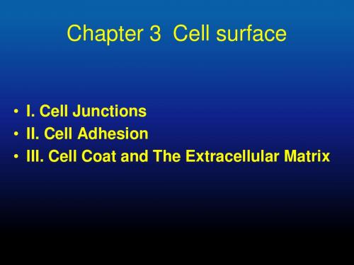 Chapter 3 -Li- Cell surface