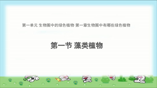 《藻类植物》示范公开课教学课件【六年级生物下册鲁科版五四学制】