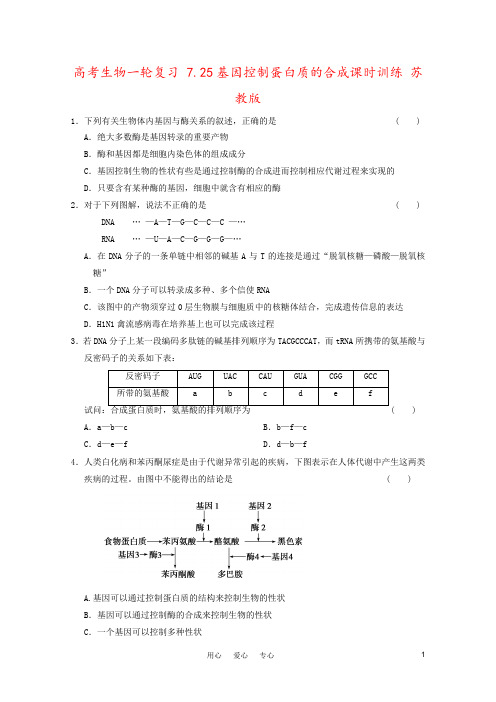 高考生物一轮复习 7.25基因控制蛋白质的合成课时训练 苏教版