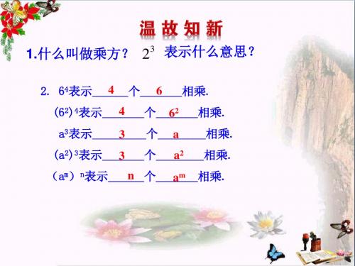六年级数学下册6.2.1幂的乘方与积的乘方 优秀课件鲁教版五四制