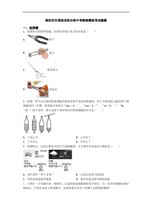 深圳市外国语龙岗分校中考物理模拟考试集锦