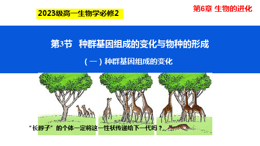 种群基因组成的变化与物种的形成