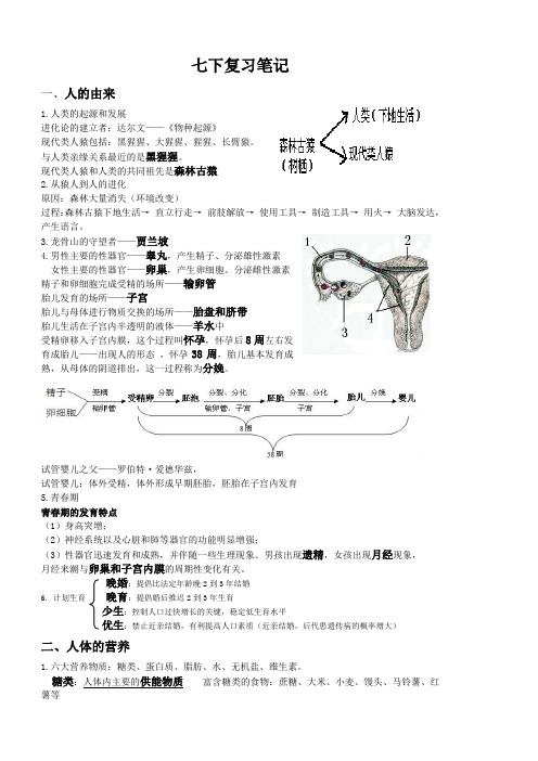 七年级下册生物期末复习笔记