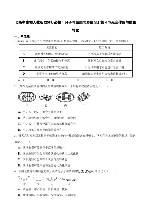 【高中生物人教版(2019)必修1同步练习】5.4 光合作用与能量转化(含答案)