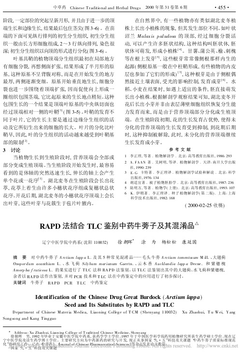 RAPD法结合TLC鉴别中药牛蒡子及其混淆品