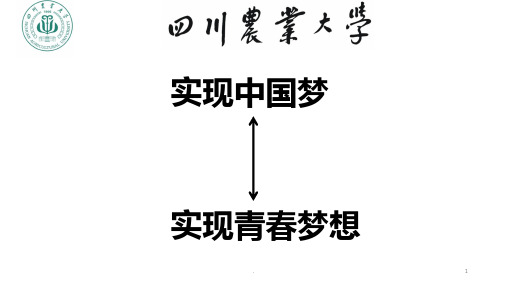 在实现中国梦的道路上实现青春梦想PPT课件