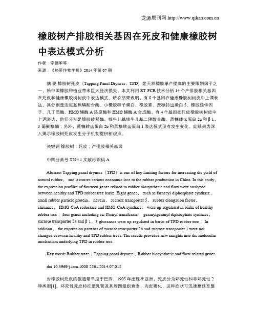 橡胶树产排胶相关基因在死皮和健康橡胶树中表达模式分析