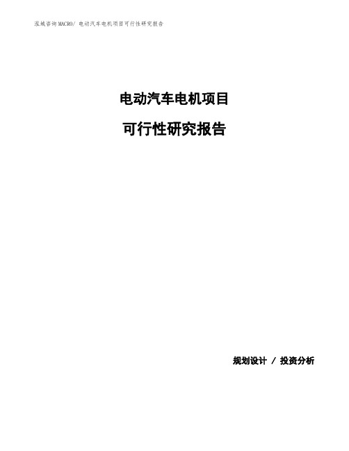 电动汽车电机项目可行性研究报告