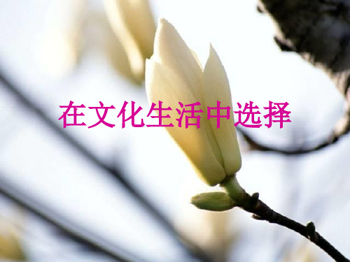 在文化生活中选择(最新修改)