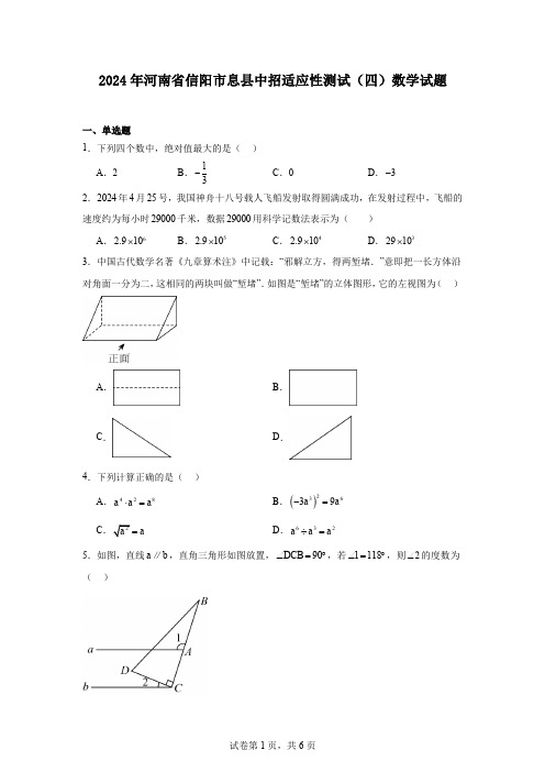 2024年河南省信阳市息县中招适应性测试(四)数学试题