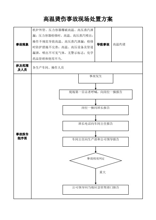 高温烫伤事故现场处置方案模板