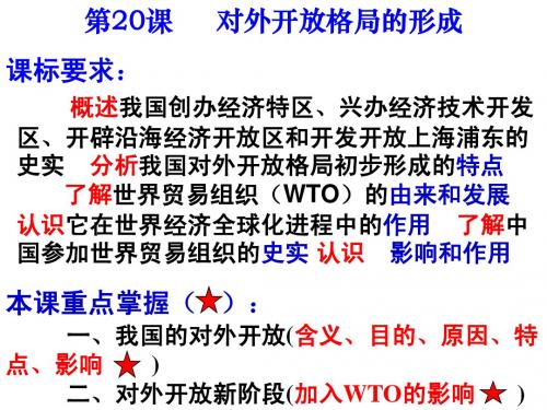 20对外开放格局的形成