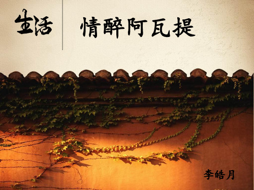 摄影作品说明
