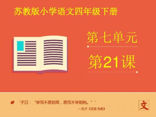 最新苏教版小学语文四年级下册21课《爱因斯坦和小女孩》2优质课课件(精品)