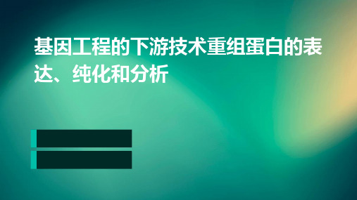 基因工程的下游技术重组蛋白的表达、纯化和分析