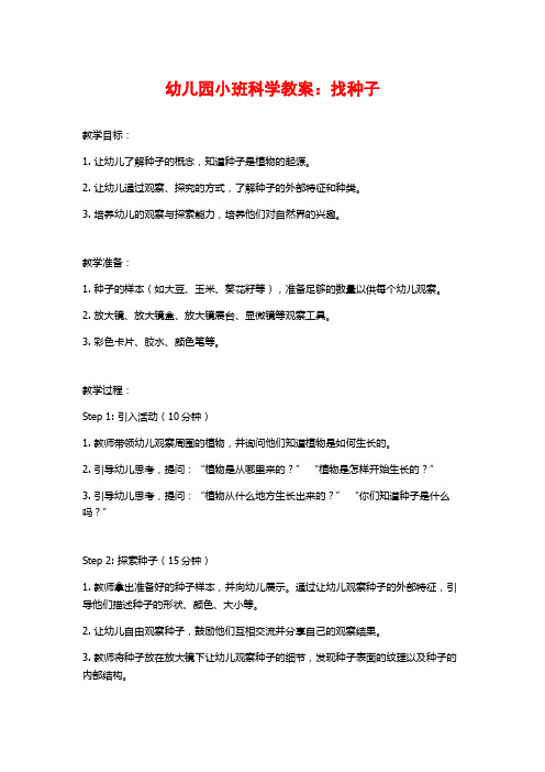 幼儿园小班科学教案：找种子