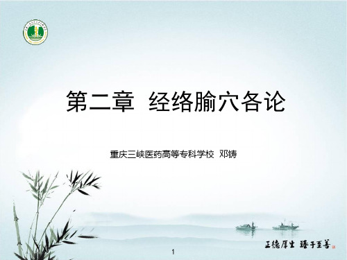手阳明大肠经