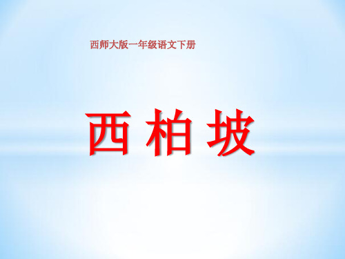 西师大小学二年级语文下册《西柏坡》课件